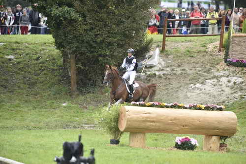 WEG2-Eventing-8-30-14-0000058-SandraAuffarth-OpgunLouvo-DDeRosaPhoto