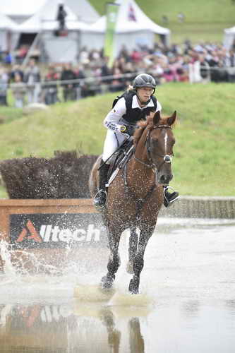 WEG2-Eventing-8-30-14-0000083-SandraAuffarth-OpgunLouvo-DDeRosaPhoto