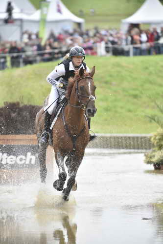 WEG2-Eventing-8-30-14-0000084-SandraAuffarth-OpgunLouvo-DDeRosaPhoto