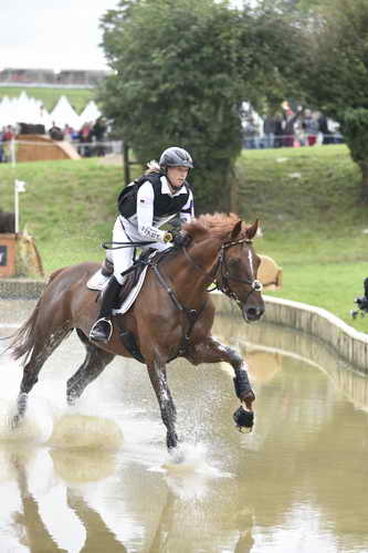 WEG2-Eventing-8-30-14-0000089-SandraAuffarth-OpgunLouvo-DDeRosaPhoto