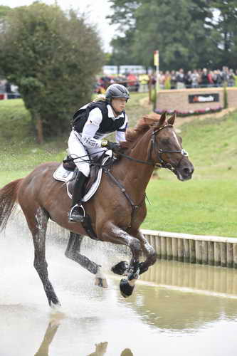 WEG2-Eventing-8-30-14-0000091-SandraAuffarth-OpgunLouvo-DDeRosaPhoto