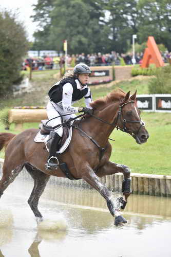 WEG2-Eventing-8-30-14-0000092-SandraAuffarth-OpgunLouvo-DDeRosaPhoto