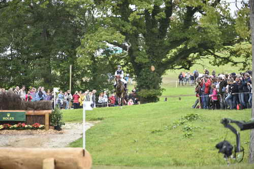 WEG2-Eventing-8-30-14-0000158-SandraAuffarth-OpgunLouvo-DDeRosaPhoto