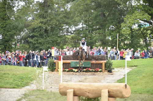 WEG2-Eventing-8-30-14-0000161-SandraAuffarth-OpgunLouvo-SaqndraAuffarth-OpgunLouvo-GER-DDeRosaPhoto