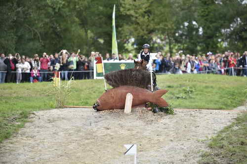 WEG2-Eventing-8-30-14-0000183-SandraAuffarth-OpgunLouvo-SaqndraAuffarth-OpgunLouvo-GER-DDeRosaPhoto