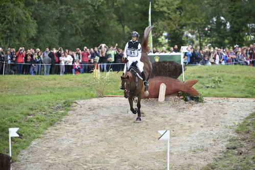 WEG2-Eventing-8-30-14-0000189-SandraAuffarth-OpgunLouvo-SaqndraAuffarth-OpgunLouvo-GER-DDeRosaPhoto