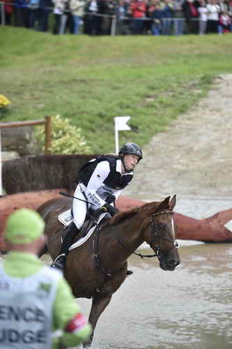 WEG2-Eventing-8-30-14-0000199-SandraAuffarth-OpgunLouvo-SaqndraAuffarth-OpgunLouvo-GER-DDeRosaPhoto