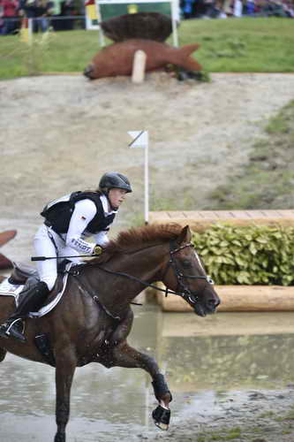 WEG2-Eventing-8-30-14-0000201-SandraAuffarth-OpgunLouvo-SaqndraAuffarth-OpgunLouvo-GER-DDeRosaPhoto