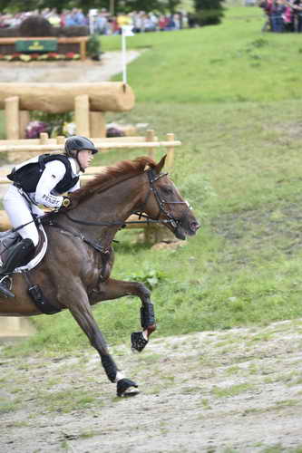 WEG2-Eventing-8-30-14-0000203-SandraAuffarth-OpgunLouvo-GER-DDeRosaPhoto