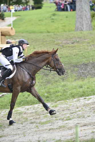 WEG2-Eventing-8-30-14-0000204-SandraAuffarth-OpgunLouvo-GER-DDeRosaPhoto