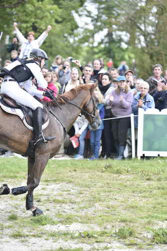 WEG2-Eventing-8-30-14-0000209-SandraAuffarth-OpgunLouvo-GER-DDeRosaPhoto