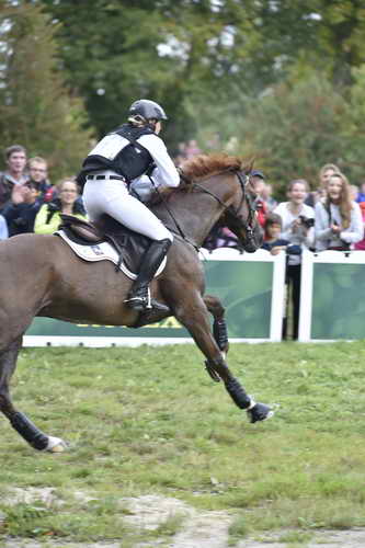 WEG2-Eventing-8-30-14-0000210-SandraAuffarth-OpgunLouvo-GER-DDeRosaPhoto