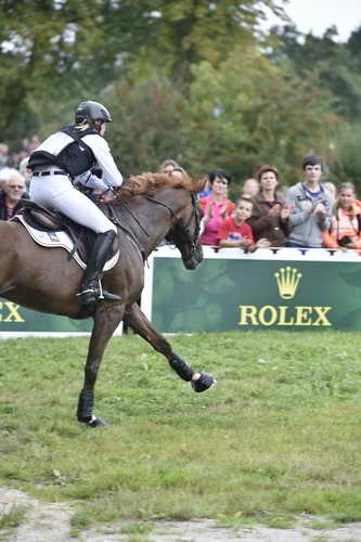 WEG2-Eventing-8-30-14-0000211-SandraAuffarth-OpgunLouvo-GER-DDeRosaPhoto