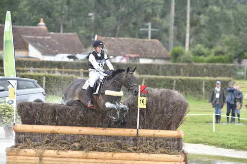 WEG1-Eventing-8-30-14-0007614-MichaelJung-FischerrocanaFST-GER-DDeRosaPhoto