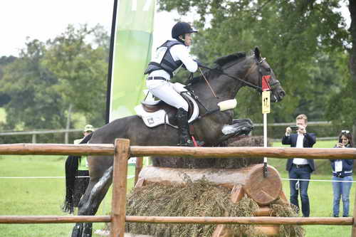 WEG1-Eventing-8-30-14-0007630-MichaelJung-FischerrocanaFST-GER-DDeRosaPhoto