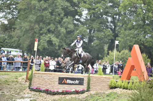 WEG1-Eventing-8-30-14-0009555-BoydMartin-Shamwari4-USA-DDeRosaPhoto