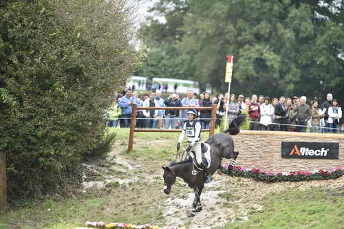 WEG1-Eventing-8-30-14-0009562-BoydMartin-Shamwari4-USA-DDeRosaPhoto