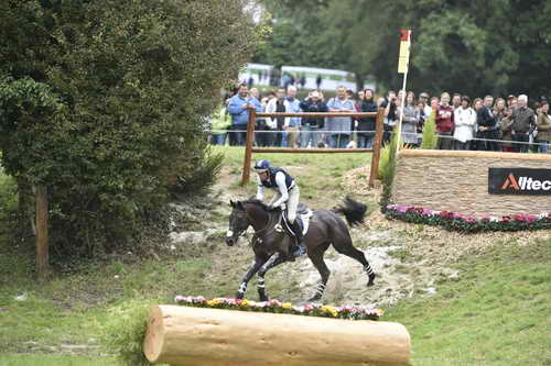 WEG1-Eventing-8-30-14-0009563-BoydMartin-Shamwari4-USA-DDeRosaPhoto