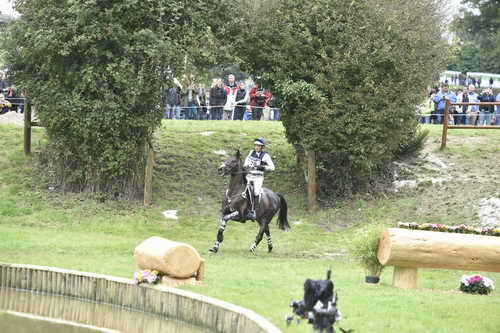 WEG1-Eventing-8-30-14-0009567-BoydMartin-Shamwari4-USA-DDeRosaPhoto