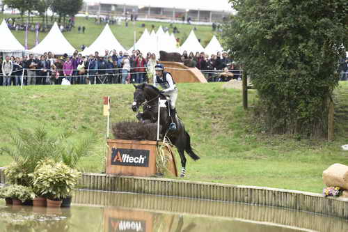 WEG1-Eventing-8-30-14-0009568-BoydMartin-Shamwari4-USA-DDeRosaPhoto