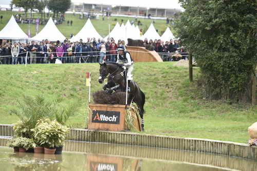 WEG1-Eventing-8-30-14-0009569-BoydMartin-Shamwari4-USA-DDeRosaPhoto