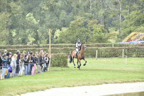 WEG1-Eventing-8-30-14-0006953-BuckDavidsonJr-BallynoeCastleRM-USA-osaPhoto