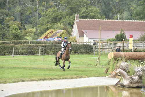 WEG1-Eventing-8-30-14-0006959-BuckDavidsonJr-BallynoeCastleRM-USA-osaPhoto