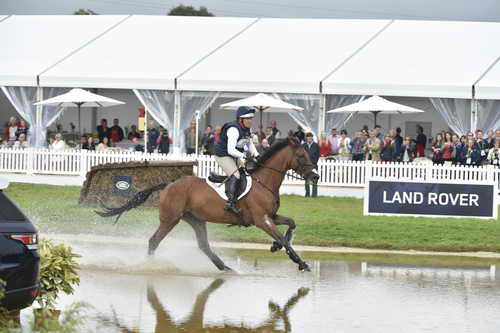 WEG1-Eventing-8-30-14-0007006-BuckDavidsonJr-BallynoeCastleRM-USA-osaPhoto