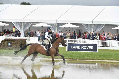 WEG1-Eventing-8-30-14-0007007-BuckDavidsonJr-BallynoeCastleRM-USA-osaPhoto