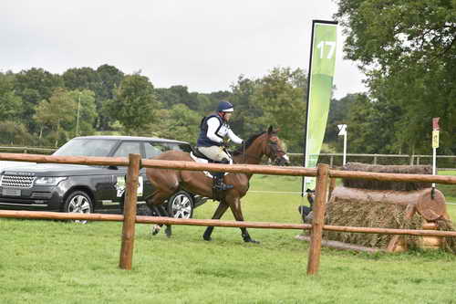 WEG1-Eventing-8-30-14-0007021-BuckDavidsonJr-BallynoeCastleRM-USA-osaPhoto