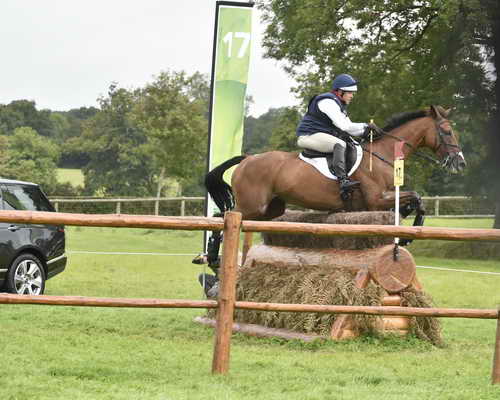 WEG1-Eventing-8-30-14-0007026-BuckDavidsonJr-BallynoeCastleRM-USA-osaPhoto