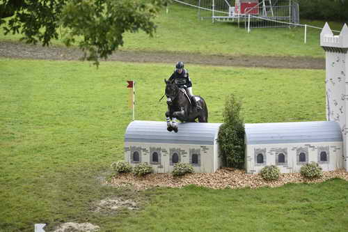 WEG1-Eventing-8-30-14-0008819-KimberlySeverson-FernhillFearless-USA-DDeRosaPhoto