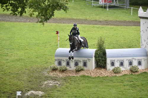 WEG1-Eventing-8-30-14-0008820-KimberlySeverson-FernhillFearless-USA-DDeRosaPhoto