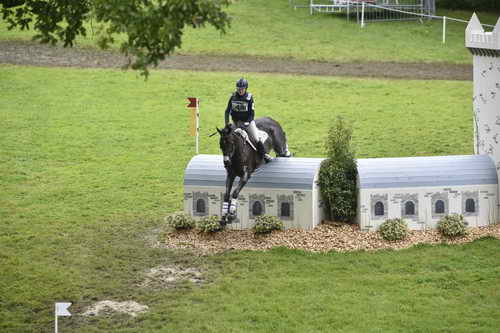 WEG1-Eventing-8-30-14-0008821-KimberlySeverson-FernhillFearless-USA-DDeRosaPhoto