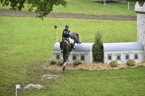 WEG1-Eventing-8-30-14-0008822-KimberlySeverson-FernhillFearless-USA-DDeRosaPhoto