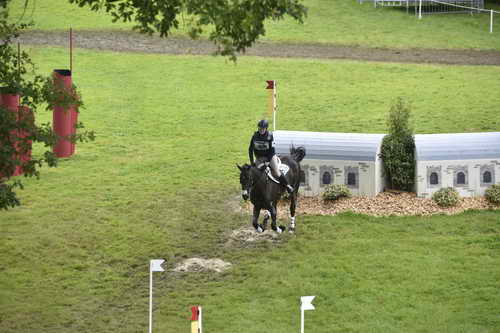 WEG1-Eventing-8-30-14-0008823-KimberlySeverson-FernhillFearless-USA-DDeRosaPhoto