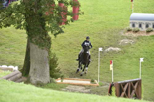 WEG1-Eventing-8-30-14-0008829-KimberlySeverson-FernhillFearless-USA-DDeRosaPhoto