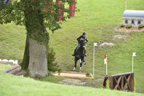 WEG1-Eventing-8-30-14-0008830-KimberlySeverson-FernhillFearless-USA-DDeRosaPhoto