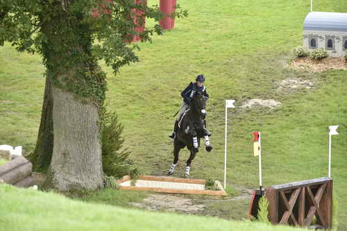 WEG1-Eventing-8-30-14-0008831-KimberlySeverson-FernhillFearless-USA-DDeRosaPhoto