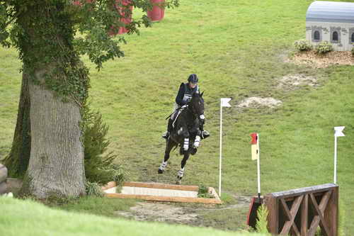 WEG1-Eventing-8-30-14-0008832-KimberlySeverson-FernhillFearless-USA-DDeRosaPhoto