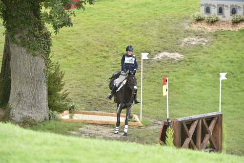 WEG1-Eventing-8-30-14-0008833-KimberlySeverson-FernhillFearless-USA-DDeRosaPhoto