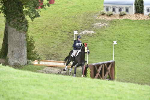 WEG1-Eventing-8-30-14-0008835-KimberlySeverson-FernhillFearless-USA-DDeRosaPhoto