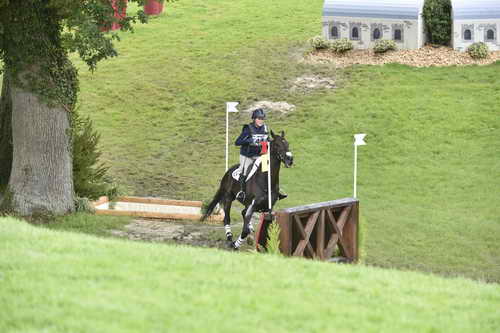 WEG1-Eventing-8-30-14-0008836-KimberlySeverson-FernhillFearless-USA-DDeRosaPhoto