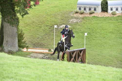 WEG1-Eventing-8-30-14-0008837-KimberlySeverson-FernhillFearless-USA-DDeRosaPhoto