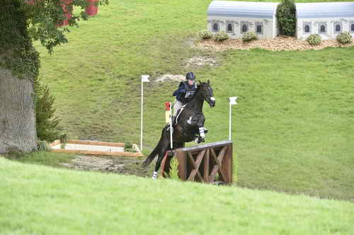 WEG1-Eventing-8-30-14-0008838-KimberlySeverson-FernhillFearless-USA-DDeRosaPhoto