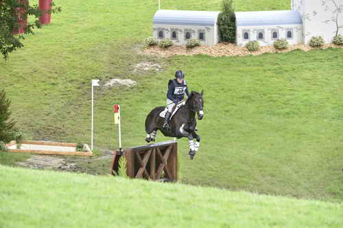 WEG1-Eventing-8-30-14-0008840-KimberlySeverson-FernhillFearless-USA-DDeRosaPhoto