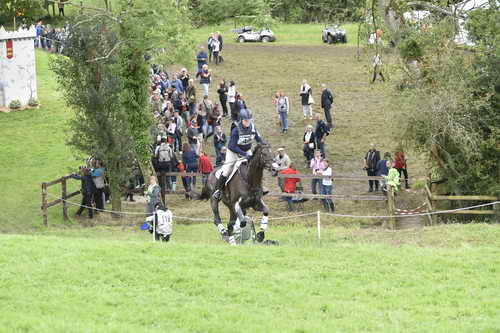 WEG1-Eventing-8-30-14-0008850-KimberlySeverson-FernhillFearless-USA-DDeRosaPhoto