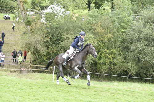 WEG1-Eventing-8-30-14-0008856-KimberlySeverson-FernhillFearless-USA-DDeRosaPhoto