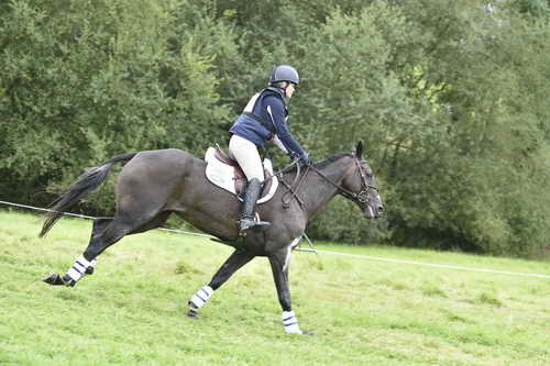 WEG1-Eventing-8-30-14-0008861-KimberlySeverson-FernhillFearless-USA-DDeRosaPhoto