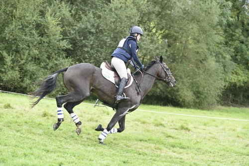 WEG1-Eventing-8-30-14-0008862-KimberlySeverson-FernhillFearless-USA-DDeRosaPhoto